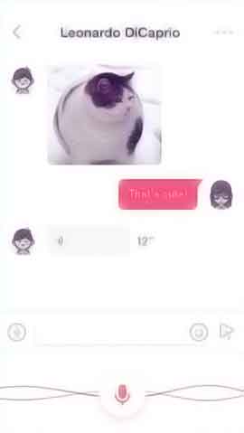 免费攻击网站软件程序维护界面